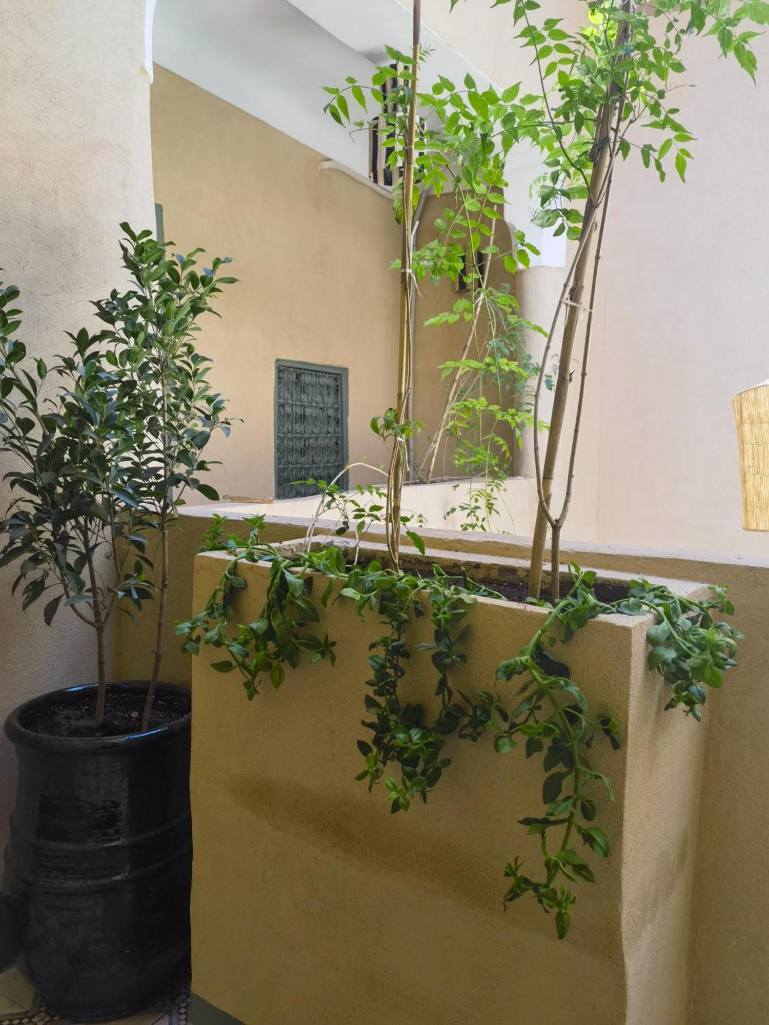 Medina Oasis Hostel Marrakesch Exterior foto